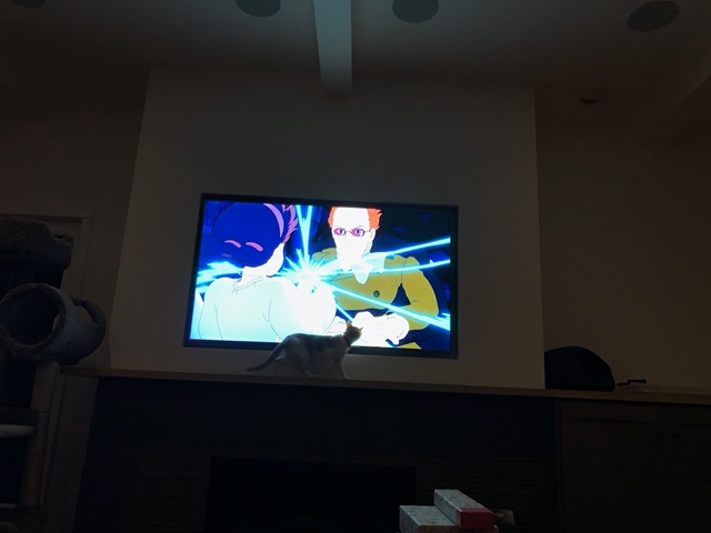 The cats strolling in front of the screen