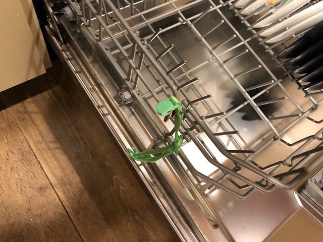One of the cats got snagged on the dishwasher.  Quick-release collar came off.
