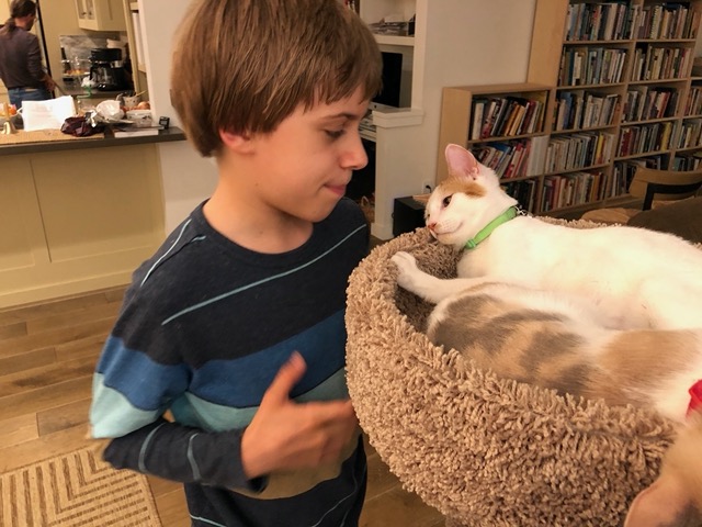 Owen visiting the kitties