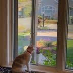 IMG_7904.jpeg