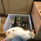 IMG_7920.jpeg