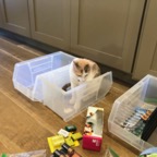 IMG_7922.jpeg