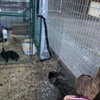 IMG_7931.jpeg