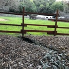 IMG_7933.jpeg