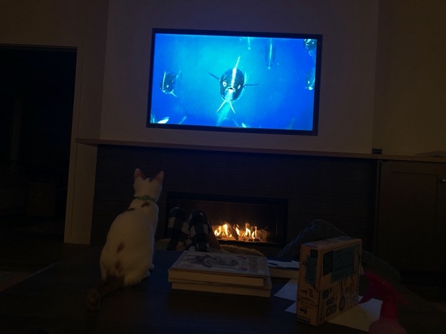 Gizmo watching an underwater scene