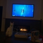 IMG_7945.jpeg