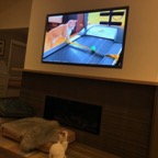 IMG_7978.jpeg