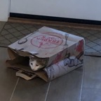 IMG_7991.jpeg