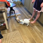 IMG_8001.jpeg