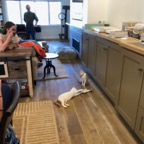 IMG_8005.jpeg