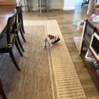 IMG_8008.jpeg