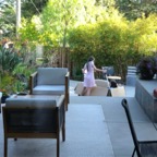 IMG_8010.jpeg