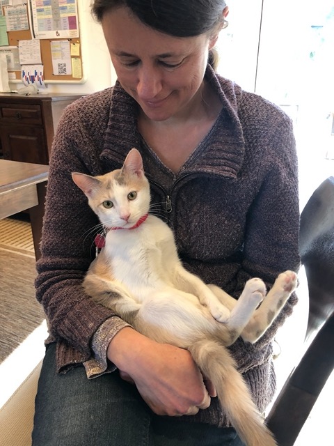 Relaxed and trusting