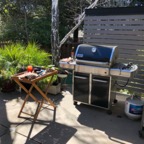 IMG_8016.jpeg