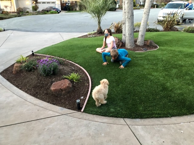 Our neighbor, Lin, came over with her new puppy, Mei Mei!