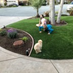 IMG_8036.jpeg