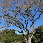 IMG_8047.jpeg