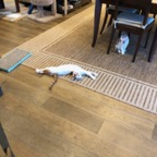 IMG_8048.jpeg