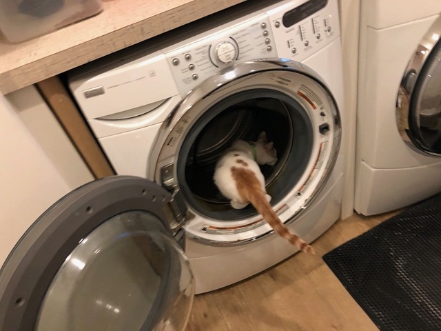 Really?  In the damp washer?