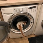 IMG_8069.jpeg