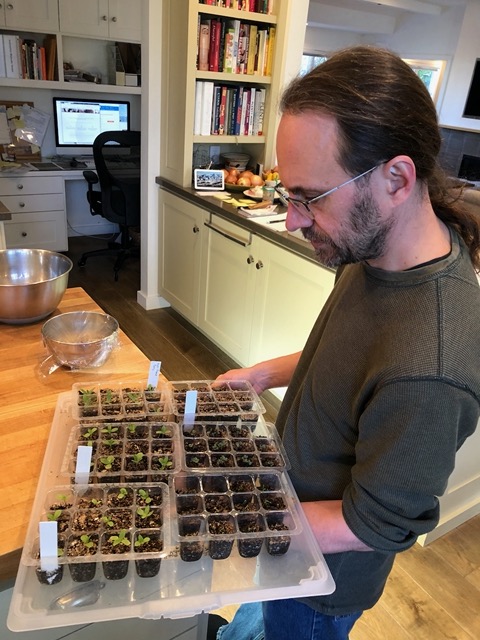 Mike with more seedlings