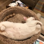 IMG_8139.jpeg