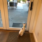IMG_8142.jpeg