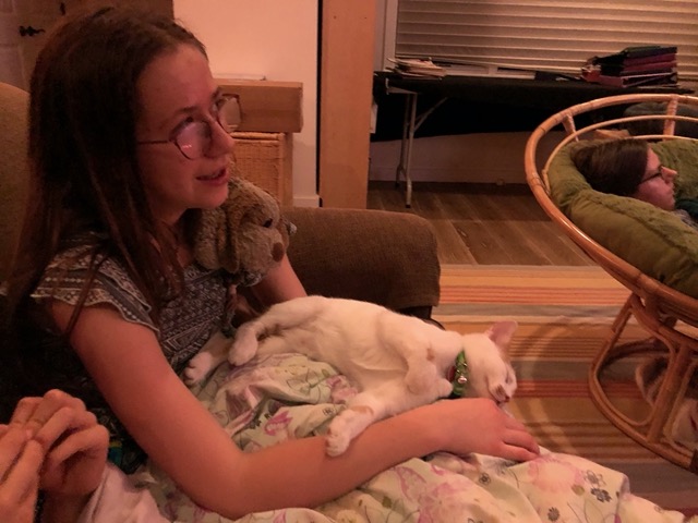 Gizmo passed out on Ellie's lap
