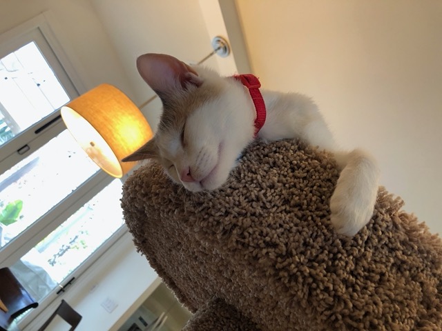 But she's out cold!