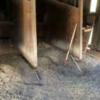 IMG_8186.jpeg
