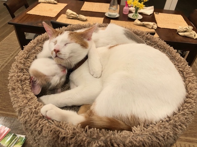 ... and two minutes later, asleep