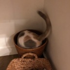 IMG_8205.jpeg