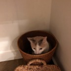 IMG_8207.jpeg