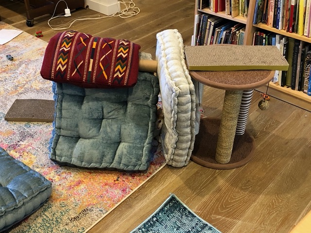 Owen's fort for the kitties