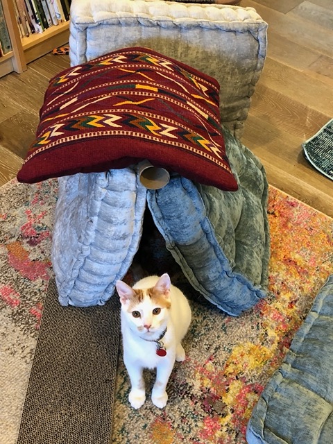 Gizmo in front of the fort