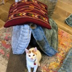 IMG_8214.jpeg