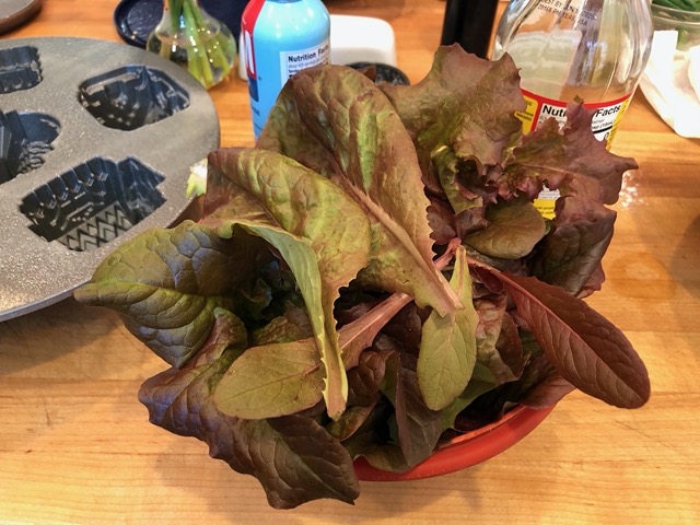 Lettuce from our garden!