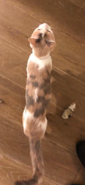 She thought they looked ok.