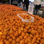 IMG_8249.jpeg