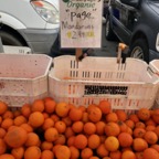 IMG_8250.jpeg