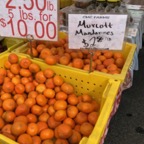 IMG_8251.jpeg
