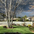 IMG_8276.jpeg