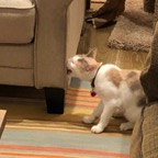 IMG_8279.jpeg
