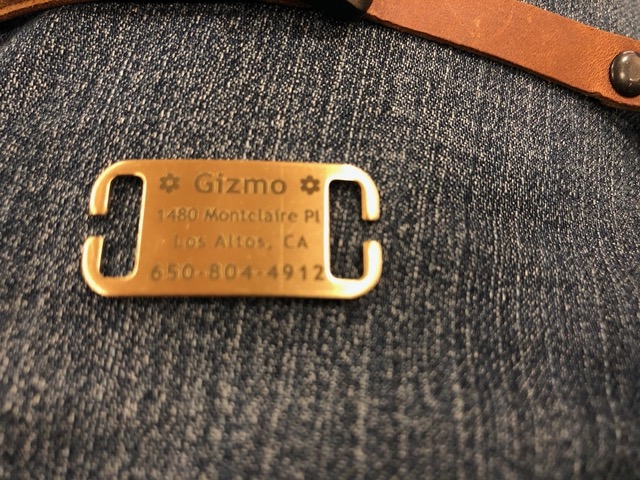 The kitties' new tags have arrived!