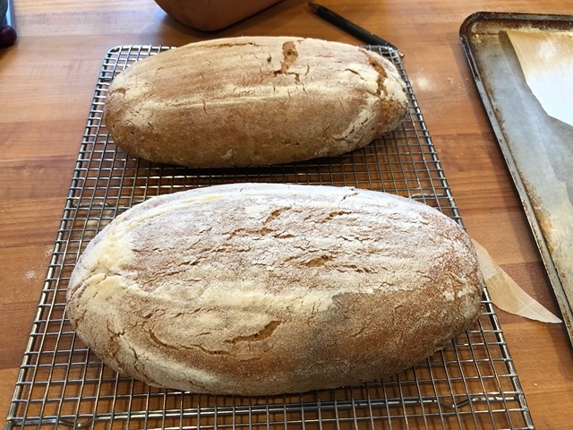 Trying a new rye recipe
