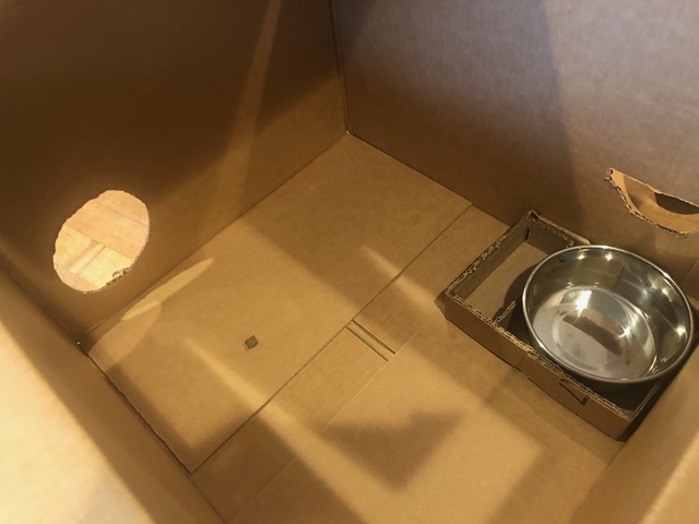 And I designed a box that only Cricket could get into