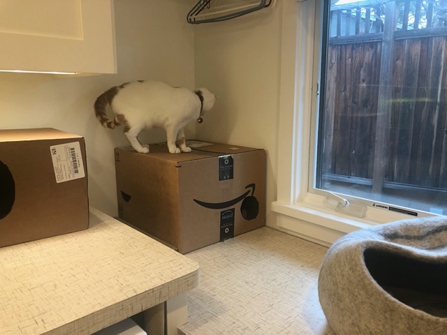 While he was forced to remain outside