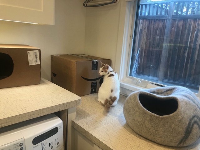 He couldn't get in through the little door