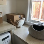 IMG_8308.jpeg