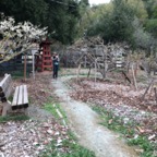 IMG_8313.jpeg